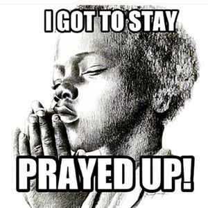 Meet your Posher, Terry